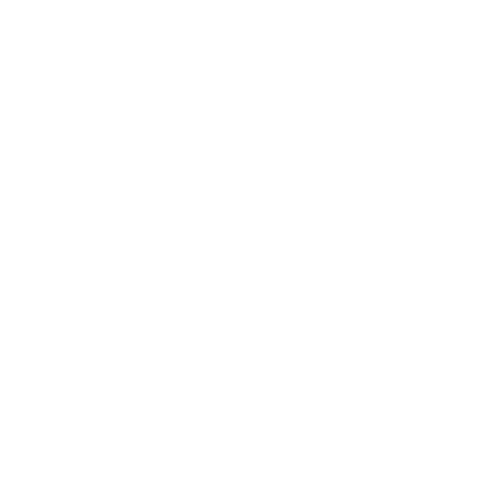 Levav-IT